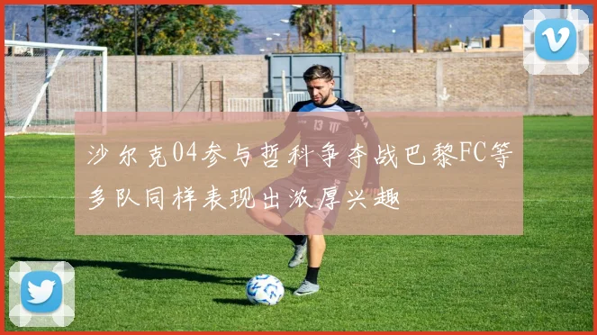 沙尔克04参与哲科争夺战巴黎FC等多队同样表现出浓厚兴趣