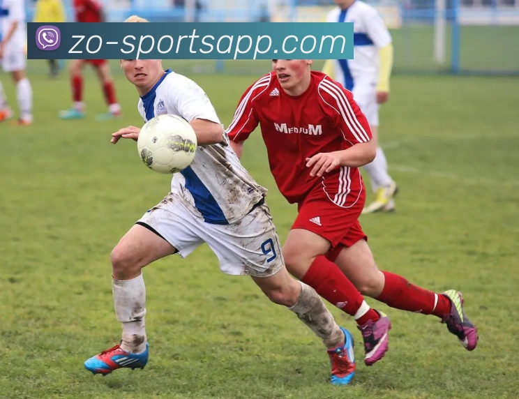 中欧足球官网APP 高清赛事图