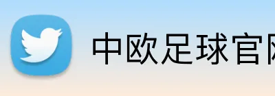 中欧足球官网 Logo